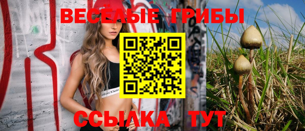 Псилоцибиновые грибы Cubensis  Вход с VPN  Златоуст 